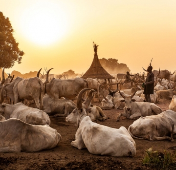 15 Days Best of South Sudan Tour-Mundari cattle Camp,Toposa,Jiye,Larim,Lotuko